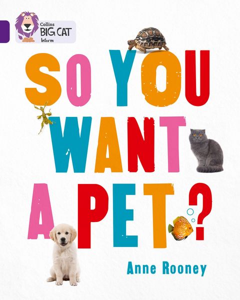 Produktbild: Big Cat - so You Want Pet