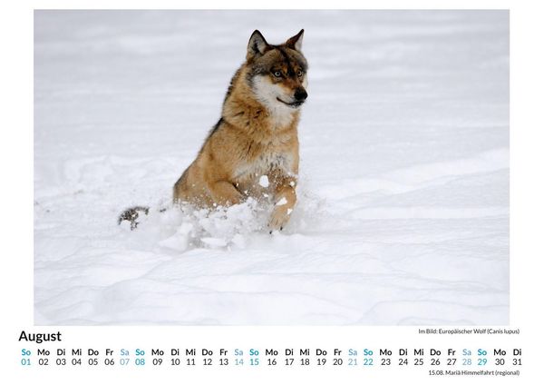 Produktbild: Tiere im Schnee