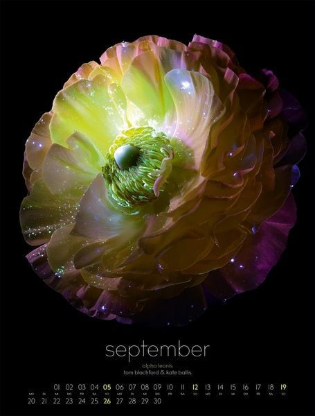 Produktbild: in bloom Kalender 2027