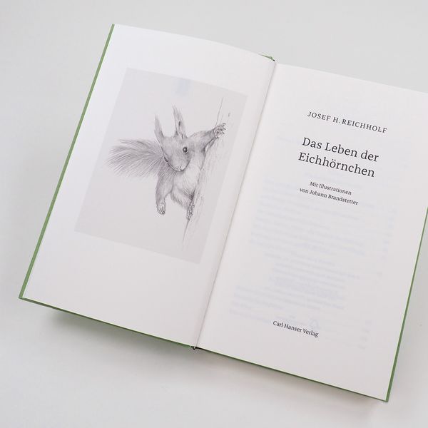Produktbild: Das Leben der Eichh&ouml;rnchen