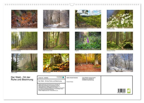 Produktbild: Der Wald - Ort der Ruhe und Besinnung (Wandkalender 2026 DIN A2 quer), CALVENDO Monatskalender