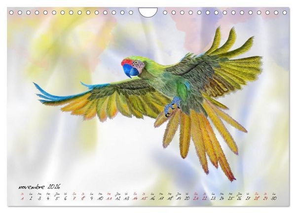 Produktbild: Dessins de perroquets (Calendrier mural 2026 DIN A4 vertical), CALVENDO calendrier mensuel