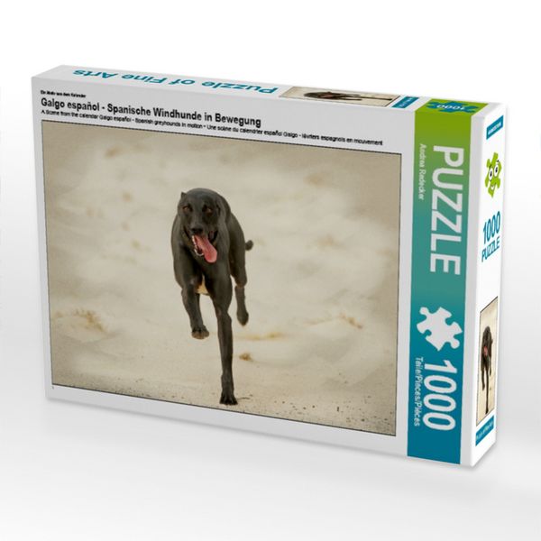 Produktbild: CALVENDO Puzzle Ein Motiv aus dem Kalender Galgo espa&ntilde;ol - Spanische Windhunde in Bewegung | 1000 Teile Lege-Gr&ouml;&szlig;e 64x48cm Foto-Puzzle f&uuml;r gl&uuml;ckliche Stunden