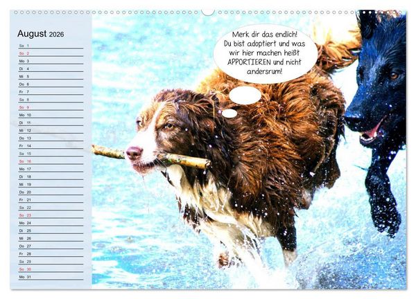 Produktbild: Hurra! Wir gehen Gassi! Abenteuer mit dem Hund! (Wandkalender 2026 DIN A2 quer), CALVENDO Monatskalender