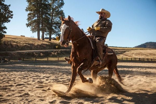 Produktbild: Yellowstone - Staffel 1 (+ Bonus-DVD) [3 DVDs]