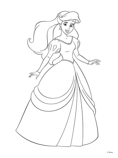 Produktbild: Disney Prinzessin: Mein Fenstermalbuch