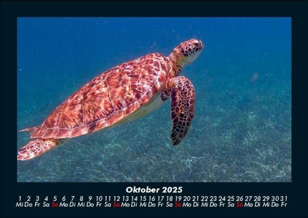 Produktbild: Karibik 2025 Fotokalender DIN A5