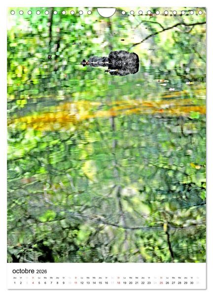 Produktbild: Reflets d'eau (Calendrier mural 2026 DIN A4 horizontal), CALVENDO calendrier mensuel