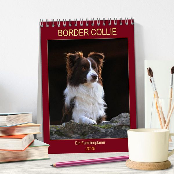 Produktbild: Border Collie - Ein Familienplaner (Tischkalender 2026 DIN A5 hoch), CALVENDO Monatskalender