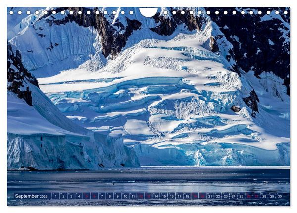 Produktbild: Antarktis Gletscher, Robben, Pinguine (Wandkalender 2026 DIN A4 quer), CALVENDO Monatskalender