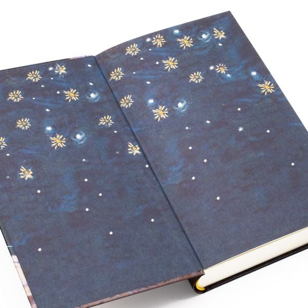 Produktbild: Unter den Sternen von Paris