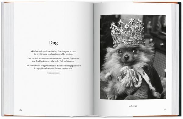 Produktbild: The Dog in Photography 1839&ndash;Today