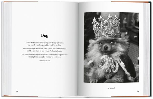Produktbild: The Dog in Photography 1839&ndash;Today