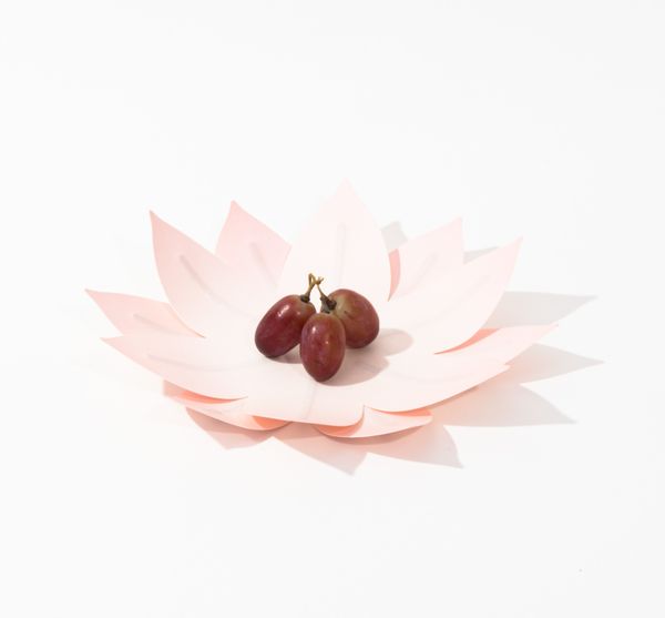 Produktbild: Hanji-Papierschale Wasserlilie Rosa &ndash; Flexible Ablage