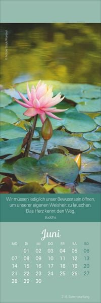 Produktbild: Achtsamkeit Lesezeichen & Kalender 2027