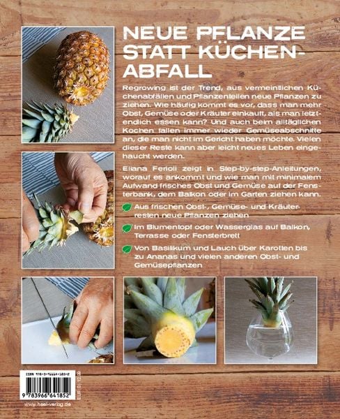 Regrowing – Neue Triebe aus Obst- und Gemüseresten