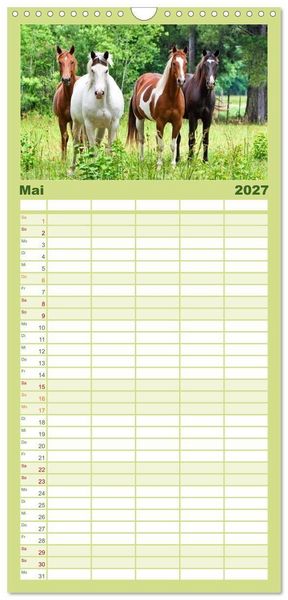 Produktbild: Familienplaner 2027 - Wilde Pferde &bull; Mustangs in USA mit 5 Spalten (Wandkalender, 21 x 45 cm) CALVENDO