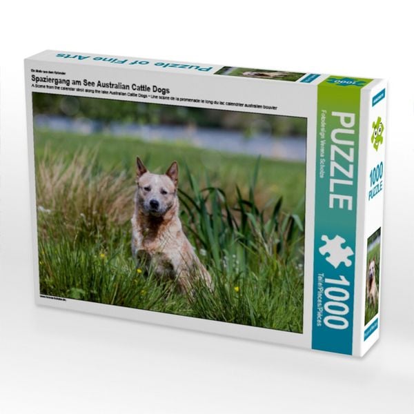CALVENDO Puzzle Ein Motiv aus dem Kalender Spaziergang am See Australian Cattle Dogs | 1000 Teile Lege-Größe 64x48cm Foto-Puzzle für glückliche