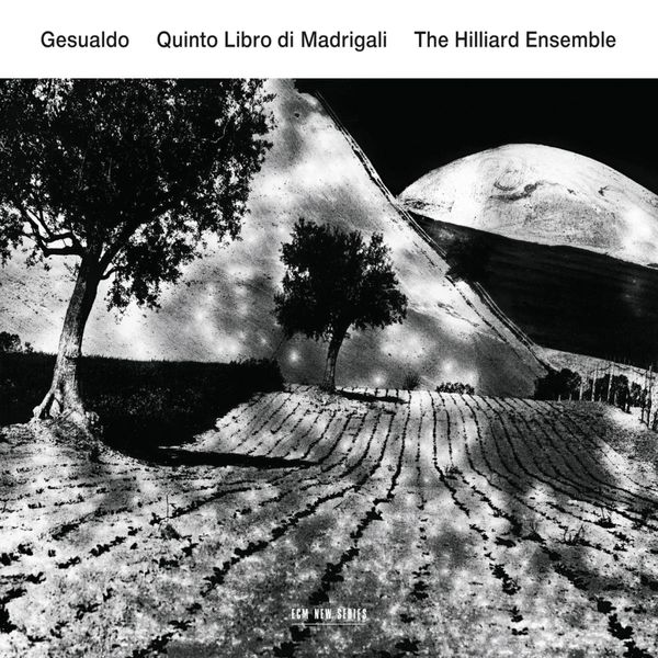 Produktbild: Quinto Libro Di Madrigali
