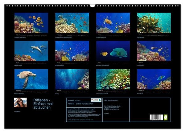 Produktbild: Riffleben - Einfach mal abtauchen (Wandkalender 2026 DIN A2 quer), CALVENDO Monatskalender