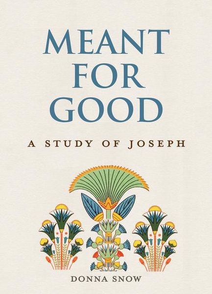 Produktbild: Meant for Good: A Study of Joseph