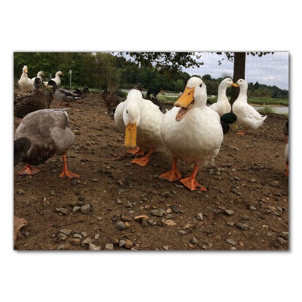Produktbild: Lais Puzzle Enten 1000 Teile