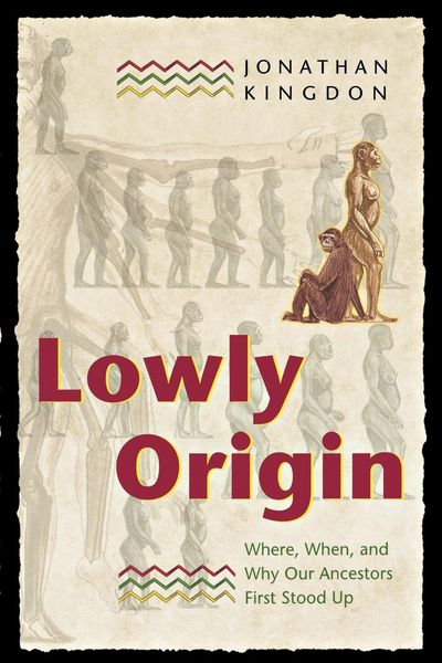 Produktbild: Lowly Origin