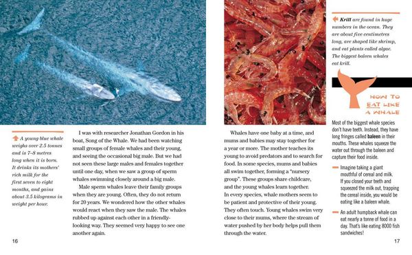 Produktbild: Face to Face with Whales