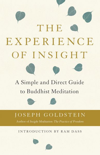 Produktbild: The Experience of Insight