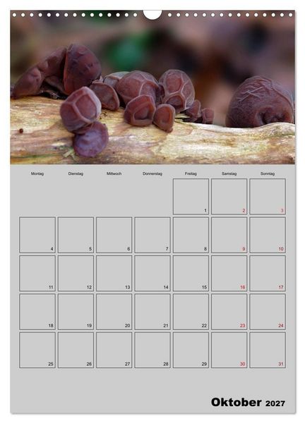 Produktbild: Quer durch die Pilze (Wandkalender 2027 DIN A3 hoch), CALVENDO Monatskalender