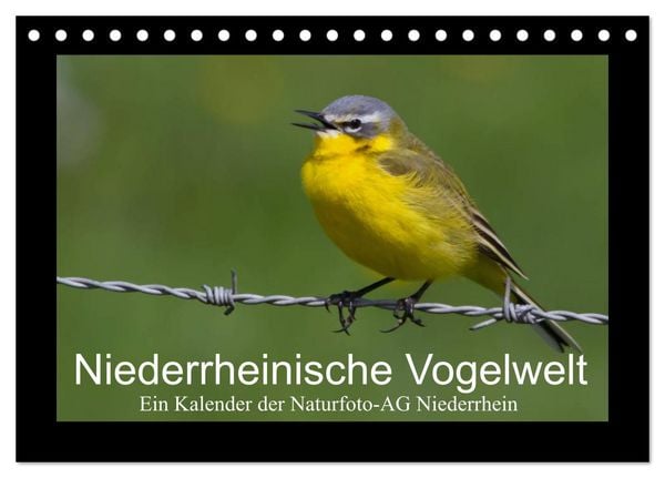 Produktbild: Niederrheinische Vogelwelt (Tischkalender 2026 DIN A5 quer), CALVENDO Monatskalender