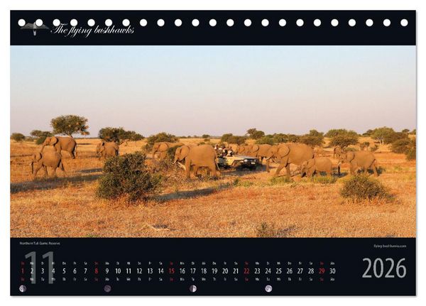 Produktbild: Botswana Blickwinkel 2026 (Tischkalender 2026 DIN A5 quer), CALVENDO Monatskalender