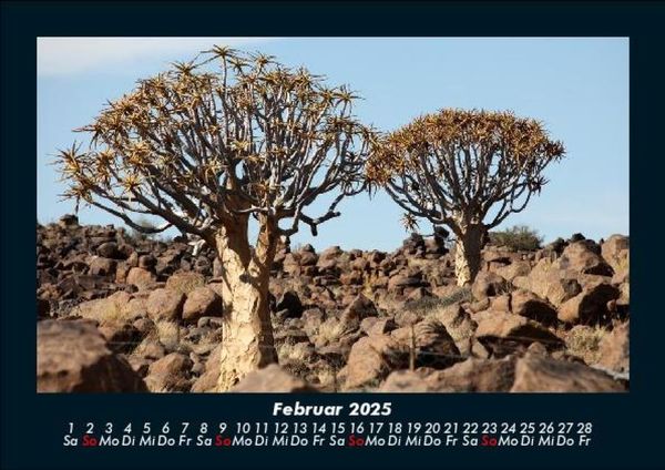 Produktbild: B&auml;ume 2025 Fotokalender DIN A5