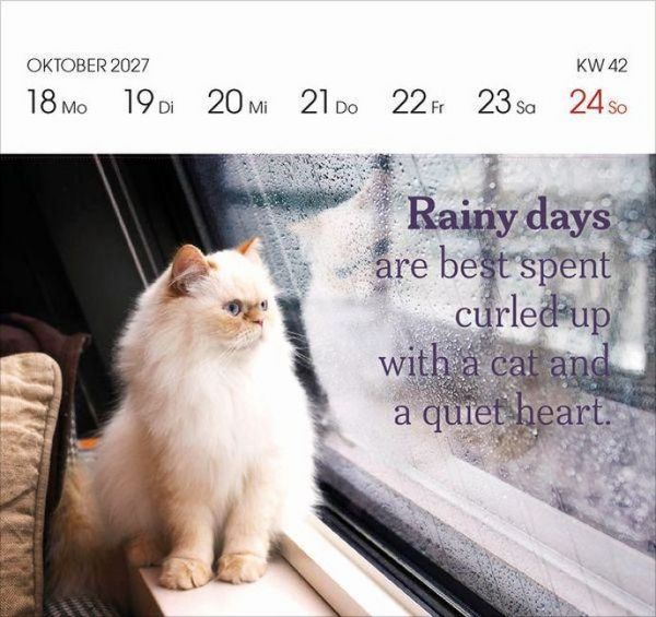 Produktbild: Katzen 2027