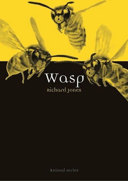 Produktbild: Wasp