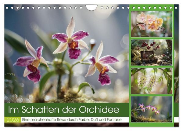 Produktbild: Im Schatten der Orchidee (Wandkalender 2026 DIN A4 quer), CALVENDO Monatskalender