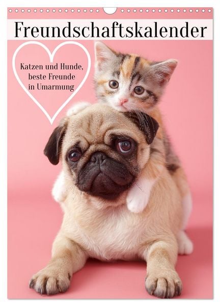 Produktbild: Freundschaftskalender - Katzen und Hunde, beste Freunde in Umarmung (Wandkalender 2026 DIN A3 hoch), CALVENDO Monatskalender
