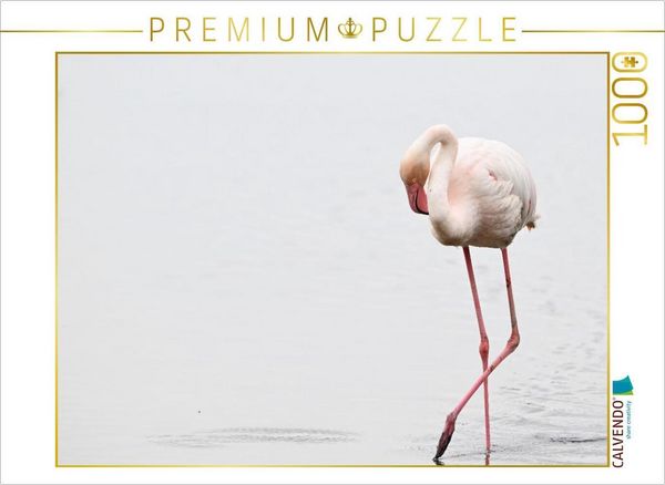 Produktbild: CALVENDO Puzzle Flamingo | 1000 Teile Lege-Gr&ouml;&szlig;e 64x48cm Foto-Puzzle f&uuml;r gl&uuml;ckliche Stunden