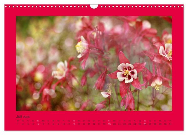Produktbild: 12 Farben (Wandkalender 2026 DIN A3 quer), CALVENDO Monatskalender