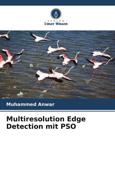 Produktbild: Multiresolution Edge Detection mit PSO