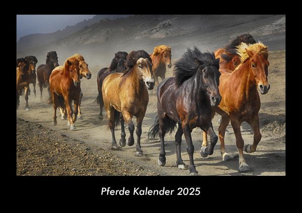 Produktbild: Pferde Kalender 2025 Fotokalender DIN A3
