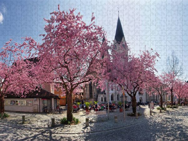 Produktbild: CALVENDO Puzzle Kirschbaumbl&uuml;te auf dem Domplatz von Eichst&auml;tt | 1000 Teile Lege-Gr&ouml;&szlig;e 64x48cm Foto-Puzzle f&uuml;r gl&uuml;ckliche Stunden