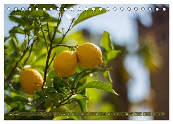 Produktbild: Lazise am Gardasee - Momente der Ruhe (Tischkalender 2026 DIN A5 quer), CALVENDO Monatskalender