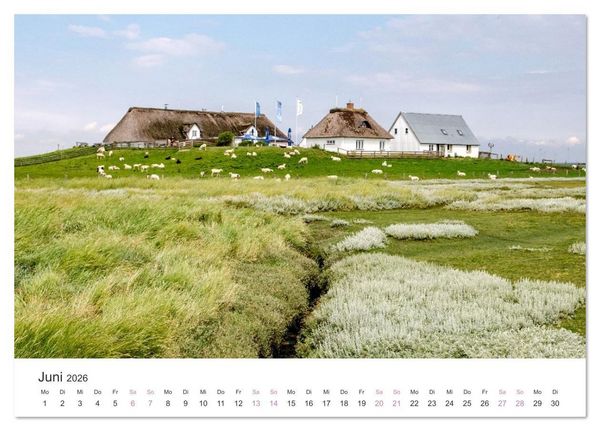 Produktbild: Hamburger Hallig - Der Weg ist das Ziel (Tischkalender 2026 DIN A5 quer), CALVENDO Monatskalender
