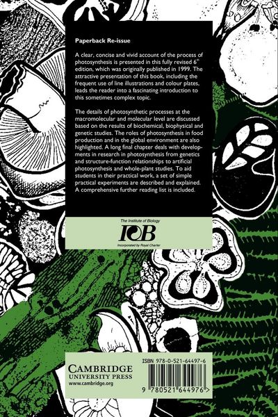 Produktbild: Photosynthesis