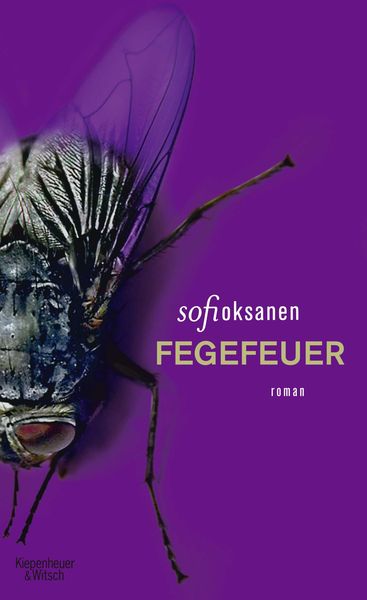 Produktbild: Fegefeuer