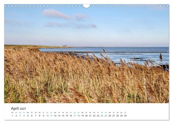 Produktbild: Amrum: Natur und Freiheit (Wandkalender 2027 DIN A3 quer), CALVENDO Monatskalender