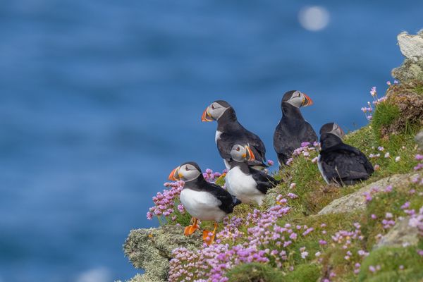 Produktbild: Secret Places Schottland mit dem Wohnmobil