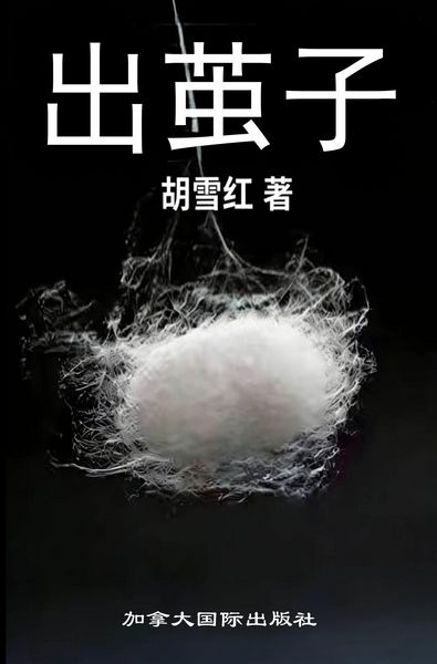 Produktbild: 出茧子