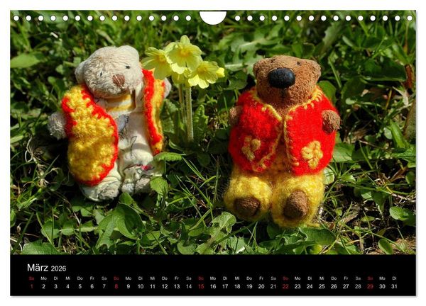 Produktbild: Der B&auml;rchenkalender 2026 (Wandkalender 2026 DIN A4 quer), CALVENDO Monatskalender